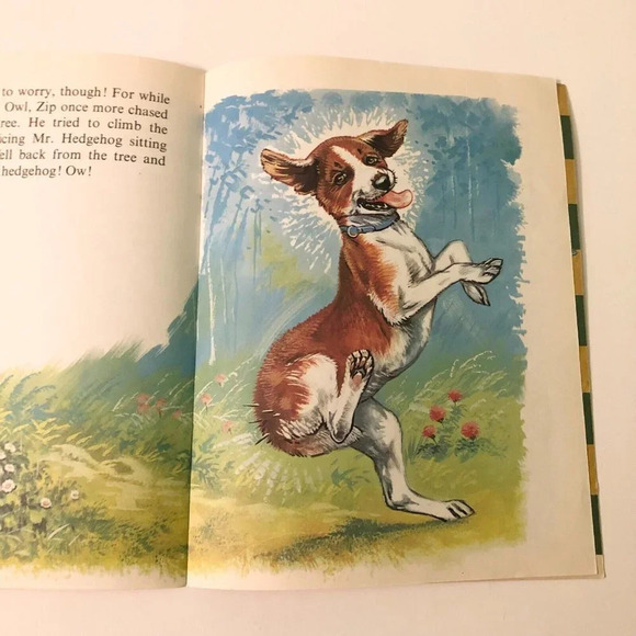 Vtg Zip and the Hedgehog Infant Series Book Robert Dallet Corlia - Picture 13 of 15